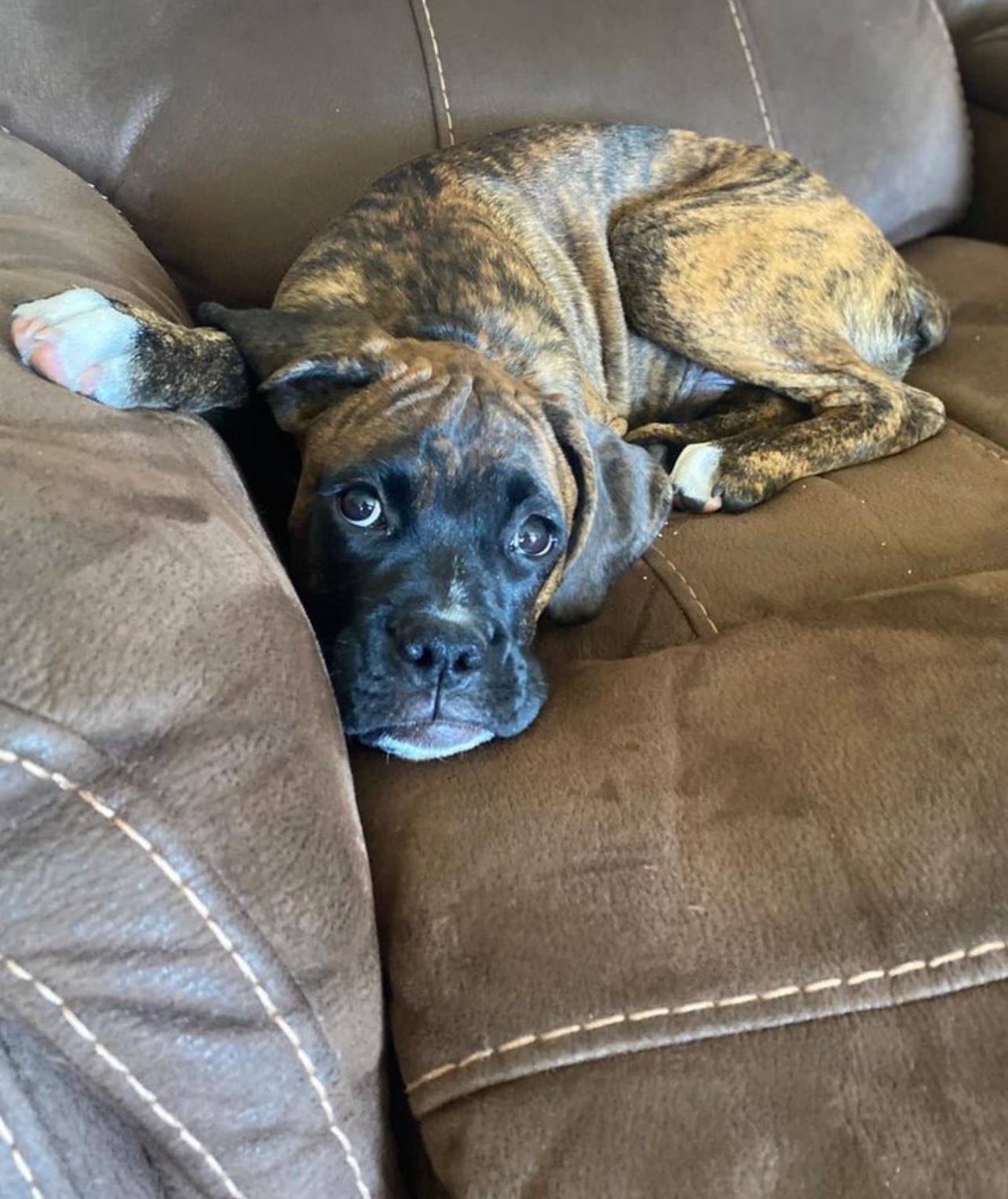 Floyd, Male - Image 2